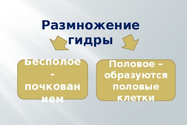 Кракен сайт дарк нет
