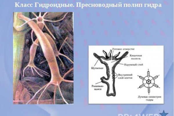 Ссылка кракен сайт зеркало