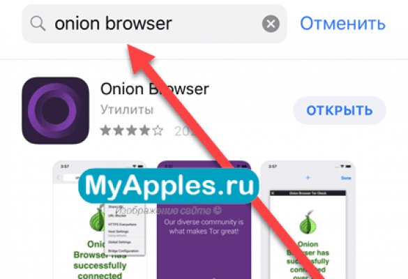 Kraken как найти ссылку